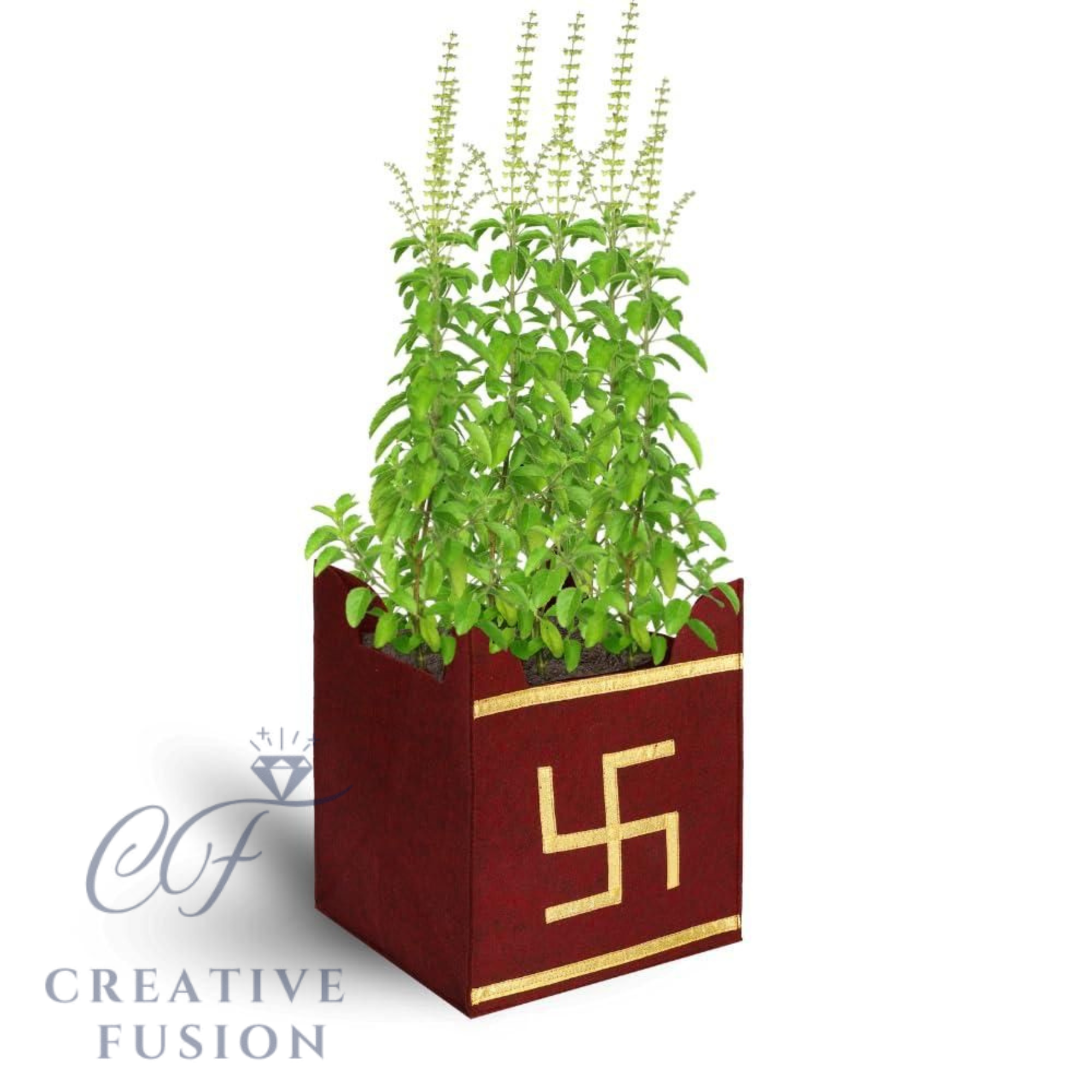 Tulsi Plant Bag carrying for Home/Gardening