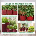 Tulsi Plant Bag carrying for Home/Gardening